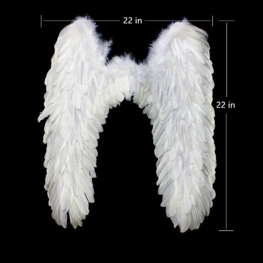 2019 The sexy new feather cosplay wings BH Victoria feather
